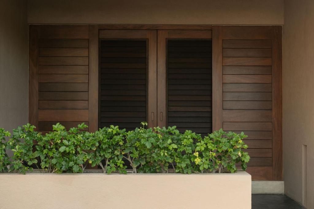 Lo Sereno Casa De Playa Troncones Exterior photo